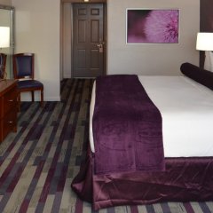Отель Sea Club Resort США, Форт-Лодердейл - отзывы, цены и фото номеров - забронировать отель Sea Club Resort онлайн комната для гостей фото 5