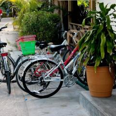 Chez Marston Hotel And Apartment in La Digue, Seychelles from 211$, photos, reviews - zenhotels.com