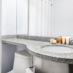 Отель Manhattan Centre Hotel США, Нью-Йорк - отзывы, цены и фото номеров - забронировать отель Manhattan Centre Hotel онлайн ванная фото 2