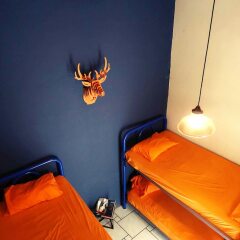 Blue Pepper Hostel Chapultepec Гвадалахара детские мероприятия