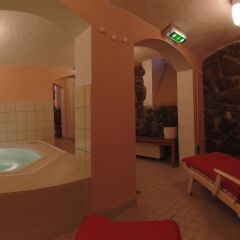 Galerie Hotel Leipziger Hof с домашними животными