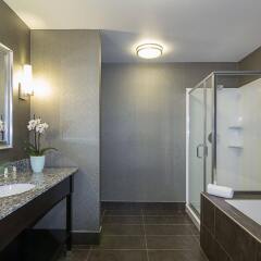 Holiday Inn Hotel & Suites Silicon Valley - Milpitas ванная