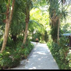 Отель Lanta Island Resort фото 18