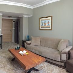 Grand Park Hotel Corlu Турция, Корлу - 1 отзыв об отеле, цены и фото номеров - забронировать отель Grand Park Hotel Corlu онлайн комната для гостей фото 4