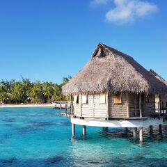 Отель Tikehau Pearl Beach Resort фото 3