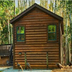 The Cabins At Disney S Fort Wilderness Resort In Walt Disney World