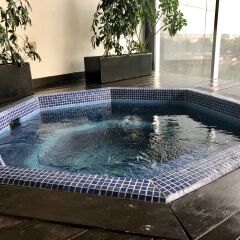 Отель Plaza Suites Mexico City Hotel Мексика, Мехико - отзывы, цены и фото номеров - забронировать отель Plaza Suites Mexico City Hotel онлайн бассейн фото 2