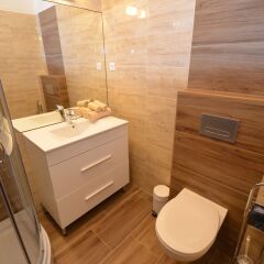 Отель Fig Tree House Budapest ванная