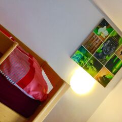 Отель a&t Holiday Hostel Австрия, Вена - 9 отзывов об отеле, цены и фото номеров - забронировать отель a&t Holiday Hostel онлайн удобства в номере фото 2