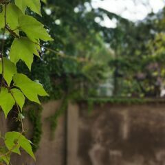 Отель BnButler - Broletto Италия, Милан - отзывы, цены и фото номеров - забронировать отель BnButler - Broletto онлайн приотельная территория