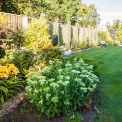 Отель Garden Camping Таллин фото 10