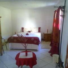 Fern Tree Bed And Breakfast in Basseterre, St. Kitts and Nevis from 140$, photos, reviews - zenhotels.com guestroom