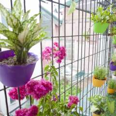 Отель NQ Vintage House