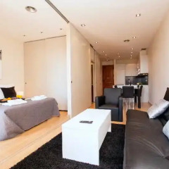 Отель Plaza Espanya Apartments Испания, Барселона - отзывы, цены и фото номеров - забронировать отель Plaza Espanya Apartments онлайн комната для гостей фото 4