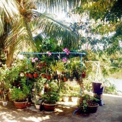 Отель Gia Bao Phat Homestay фото 5