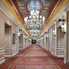Отель The Venetian Resort Las Vegas США, Лас-Вегас - 9 отзывов об отеле, цены и фото номеров - забронировать отель The Venetian Resort Las Vegas онлайн фото 11