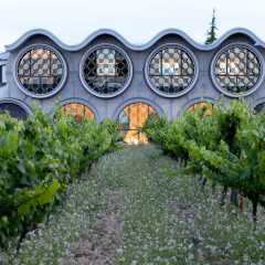 Cava & Hotel Mastinell с домашними животными