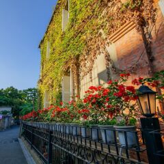 Отель Xiamen Blossom Resort Китай, Сямынь - отзывы, цены и фото номеров - забронировать отель Xiamen Blossom Resort онлайн фото 19