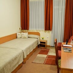 Roza Hotel Казанлак комната для гостей фото 5