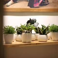 Отель Minimalism Home/Homestay Easternstay гостиничный бар