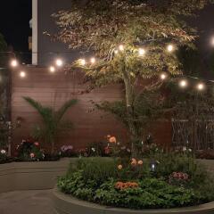 Отель Best Western Plus Uptown Hotel Канада, Ванкувер - отзывы, цены и фото номеров - забронировать отель Best Western Plus Uptown Hotel онлайн фото 3