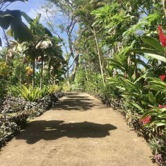 Отель One Private Island One Villa Савусаву фото 3