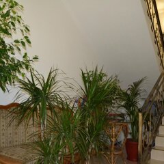 Мини-отель Папайя Парк фото 2