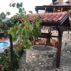Отель Vila Leonard Албания, Тирана - отзывы, цены и фото номеров - забронировать отель Vila Leonard онлайн бассейн фото 3
