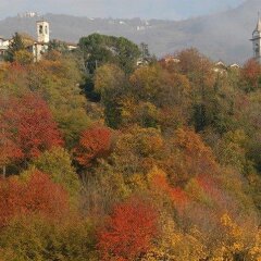 Отель Albergo Ristorante Carenno Италия, Каренно - отзывы, цены и фото номеров - забронировать отель Albergo Ristorante Carenno онлайн фото 6