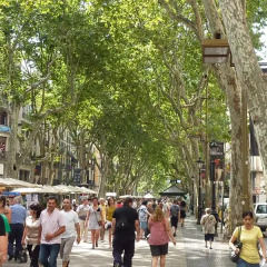 Hotel Barcelona House спортивное сооружение