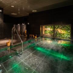 Отель SUPERHOTEL Premier GINZA Япония, Токио - отзывы, цены и фото номеров - забронировать отель SUPERHOTEL Premier GINZA онлайн фото 21