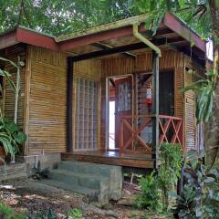 Отель Maravu Taveuni Lodge Фиджи, Остров Тавеуни - отзывы, цены и фото номеров - забронировать отель Maravu Taveuni Lodge онлайн комната для гостей