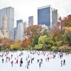 Отель Ritz-Carlton New York Central Park США, Нью-Йорк - отзывы, цены и фото номеров - забронировать отель Ritz-Carlton New York Central Park онлайн фото 6