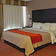 Отель Comfort Inn Los Angeles near Hollywood США, Лос-Анджелес - отзывы, цены и фото номеров - забронировать отель Comfort Inn Los Angeles near Hollywood онлайн комната для гостей фото 4