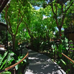 Отель Samui Laguna Resort балкон