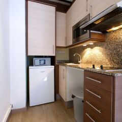 Апартаменты SSG Borne Down Town Studios Apartments в номере фото 2