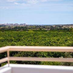 Отель Flôr da Laranja, Albufeira Португалия, Албуфейра - отзывы, цены и фото номеров - забронировать отель Flôr da Laranja, Albufeira онлайн балкон