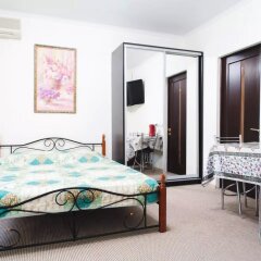 Natali Mini-Hotel комната для гостей фото 2