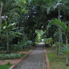 Отель Pattaya Garden фото 11