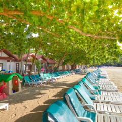 Отель First Bungalow Beach Resort детские мероприятия фото 2