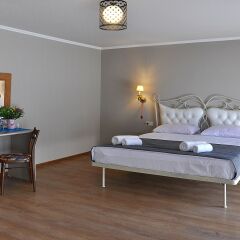 Art Hotel Claude Monet комната для гостей фото 3