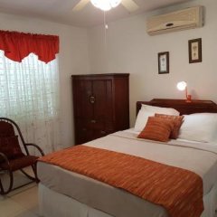 Kingston Cottage in Mona Heights, Jamaica from 195$, photos, reviews - zenhotels.com guestroom photo 2