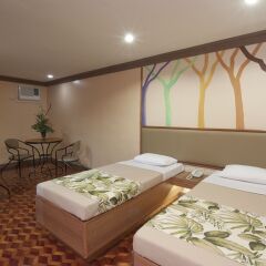 Отель Pinoy Pamilya Hotel Филиппины, Пасай - отзывы, цены и фото номеров - забронировать отель Pinoy Pamilya Hotel онлайн комната для гостей фото 2