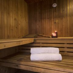 Отель Aparthotel Tropic Garden Испания, Санта-Эулалия-дель-Рио - отзывы, цены и фото номеров - забронировать отель Aparthotel Tropic Garden онлайн сауна