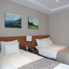 Отель Yongpyong Resort Dragon Valley Hotel Южная Корея, Пхёнчан - отзывы, цены и фото номеров - забронировать отель Yongpyong Resort Dragon Valley Hotel онлайн комната для гостей