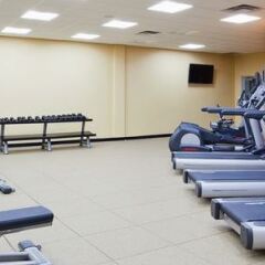 Отель Holiday Inn & Suites Pointe-Claire Montreal Airport Канада, Монреаль - отзывы, цены и фото номеров - забронировать отель Holiday Inn & Suites Pointe-Claire Montreal Airport онлайн фитнесс-зал фото 3