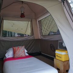 Отель Singha Park Chiang Rai Camping Таиланд, Чианграй - отзывы, цены и фото номеров - забронировать отель Singha Park Chiang Rai Camping онлайн комната для гостей фото 4