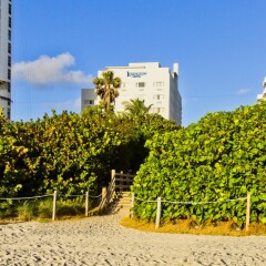 Lexington Hotel - Miami Beach фото 3