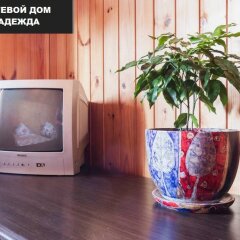 Гостиница Guest House Nadezhda в Сочи отзывы, цены и фото номеров - забронировать гостиницу Guest House Nadezhda онлайн интерьер отеля