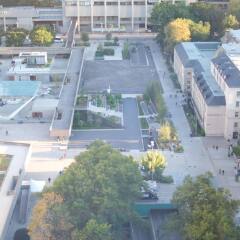 Отель Chestnut Residence and Conference Centre - University of Toronto фото 6